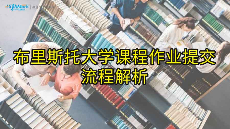 布里斯托大学课程作业提交流程解析