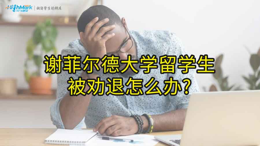 谢菲尔德大学留学生被劝退怎么办?
