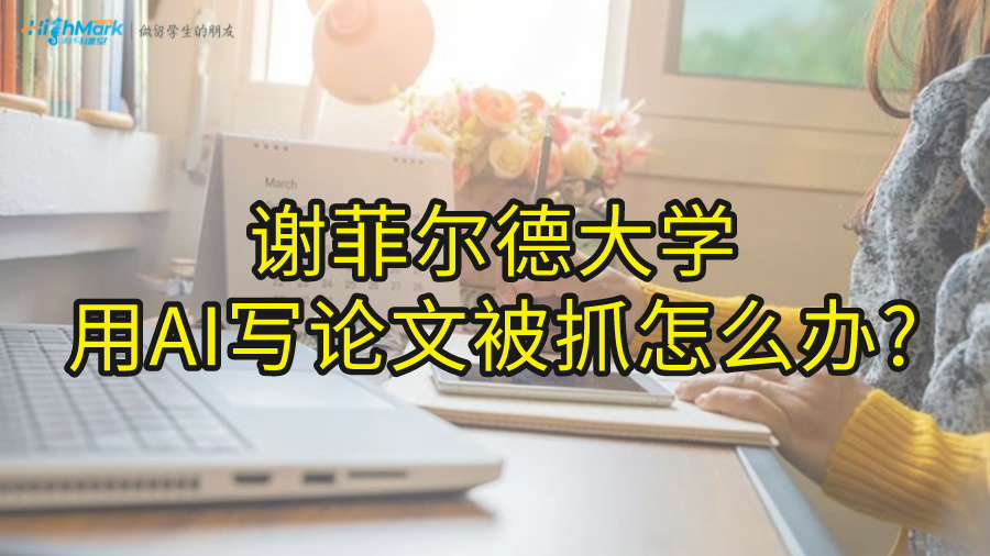 谢菲尔德大学用AI写论文被抓怎么办?