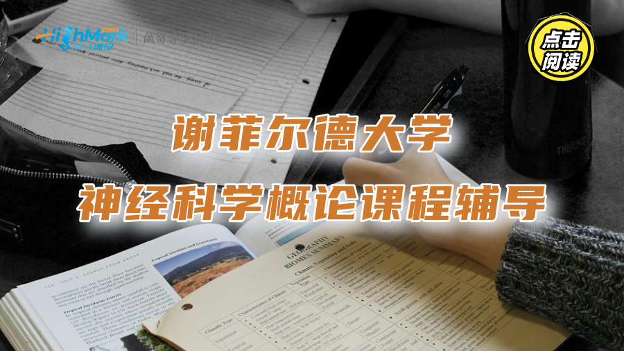 谢菲尔德大学神经科学概论课程辅导：学霸笔记分享