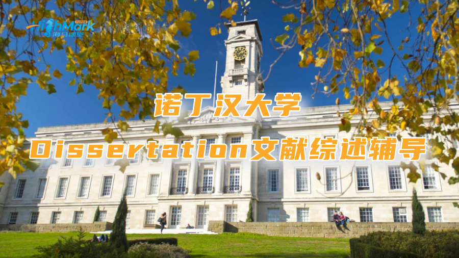 诺丁汉大学Dissertation文献综述没思路?辅导教你丝滑写作