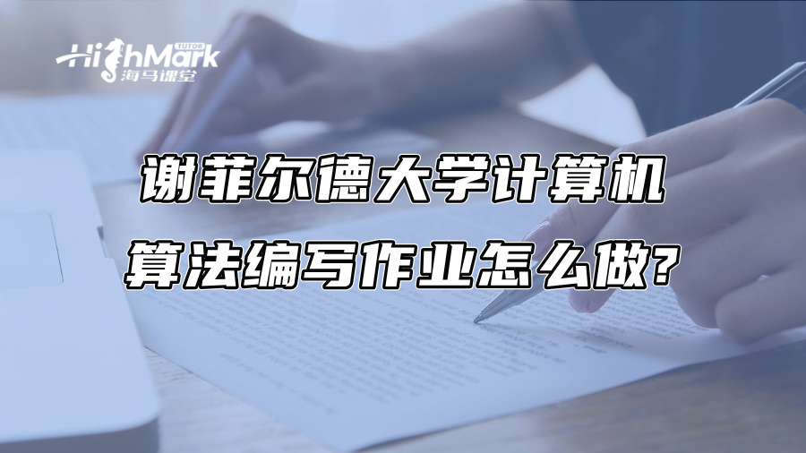 谢菲尔德大学计算机算法编写作业怎么做?