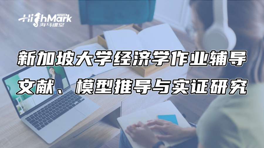 新加坡大学经济学作业辅导：文献、模型推导与实证研究