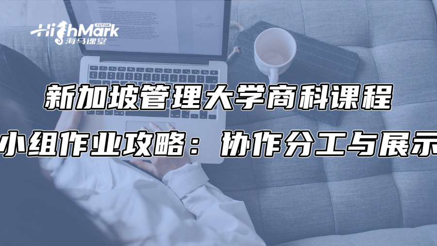 新加坡管理大学商科课程小组作业攻略：协作分工与展示